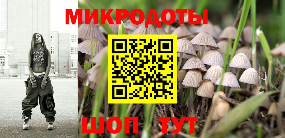 Галлюциногенные грибы Psilocybine cubensis Белорецк